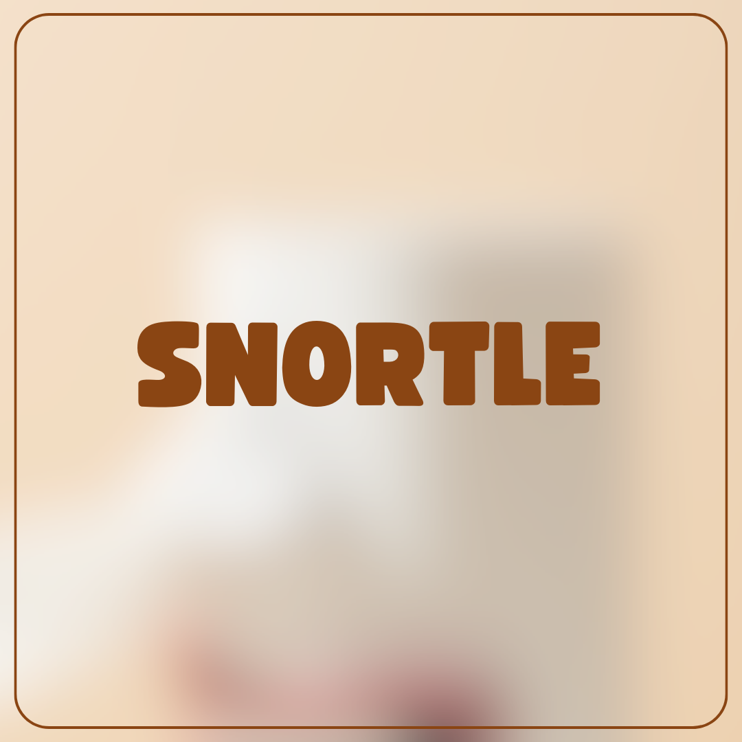 Snortle™ – Funny Tissue Dispenser Loved by Guests (50% Off)