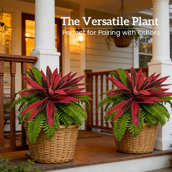 Verdara™ – Vibrant Faux Cordyline Plant Set