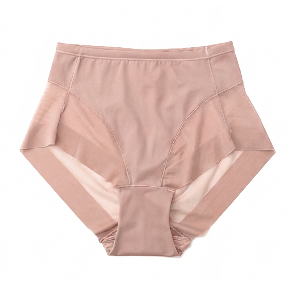 Wearbella™ – Seamless Mesh Panel Everyday Panties