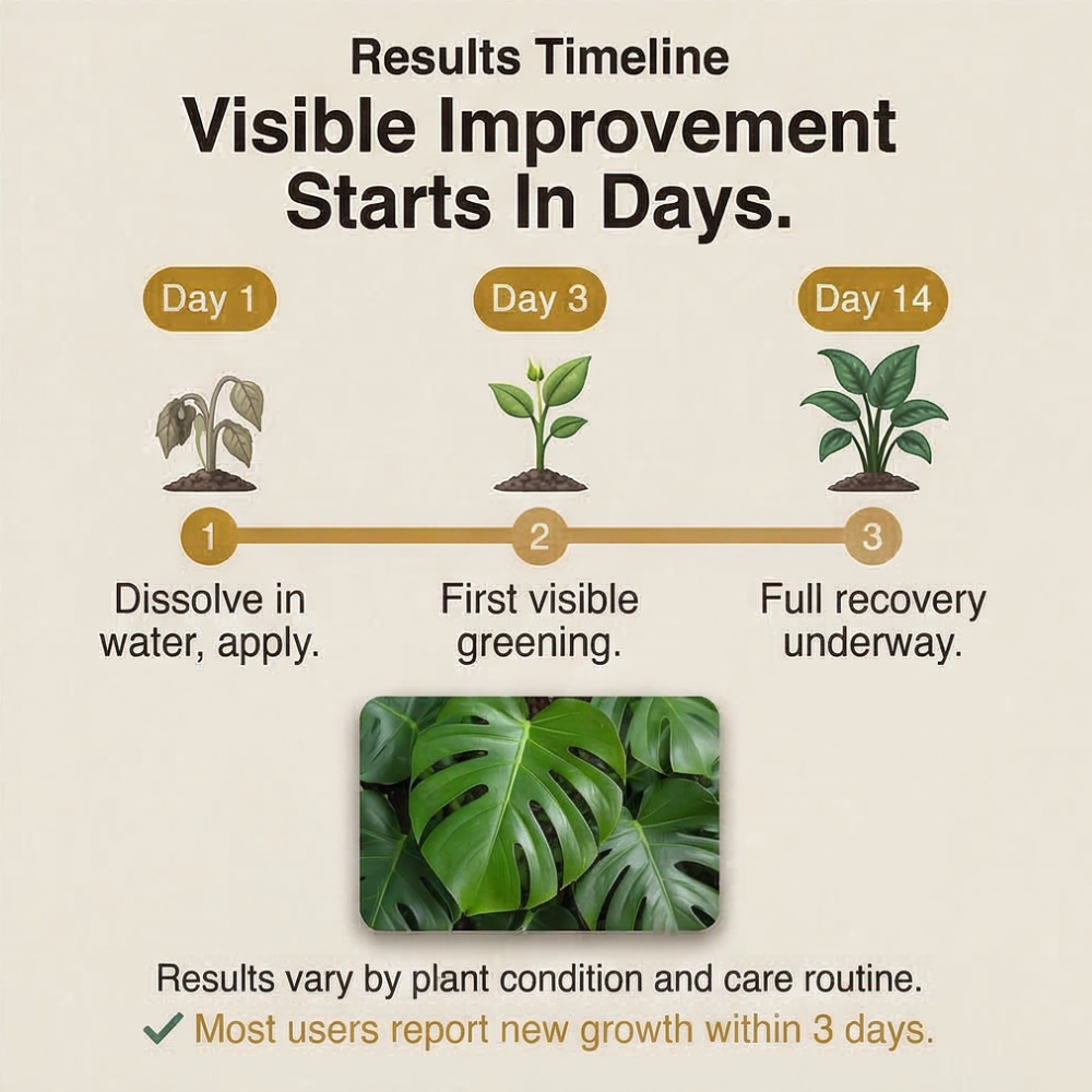 Rootbloom™ – Concentrated Mineral Soil Conditioner