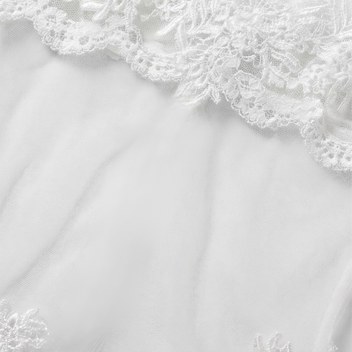 Veluria™ – Embroidered Lace Sheer Slip Dress