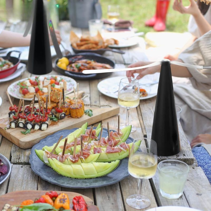 AeroGuard™ - Chemical-Free Silent Fly Fan (40% Off)