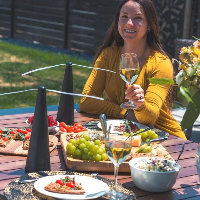 AeroGuard™ - Chemical-Free Silent Fly Fan (40% Off)