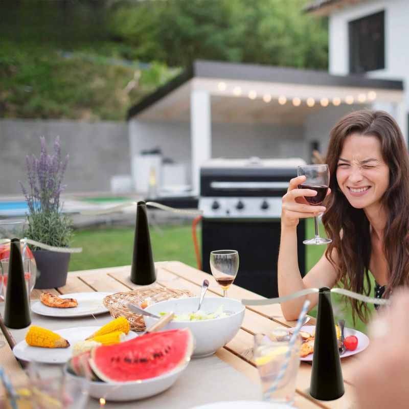 AeroGuard™ - Chemical-Free Silent Fly Fan (40% Off)