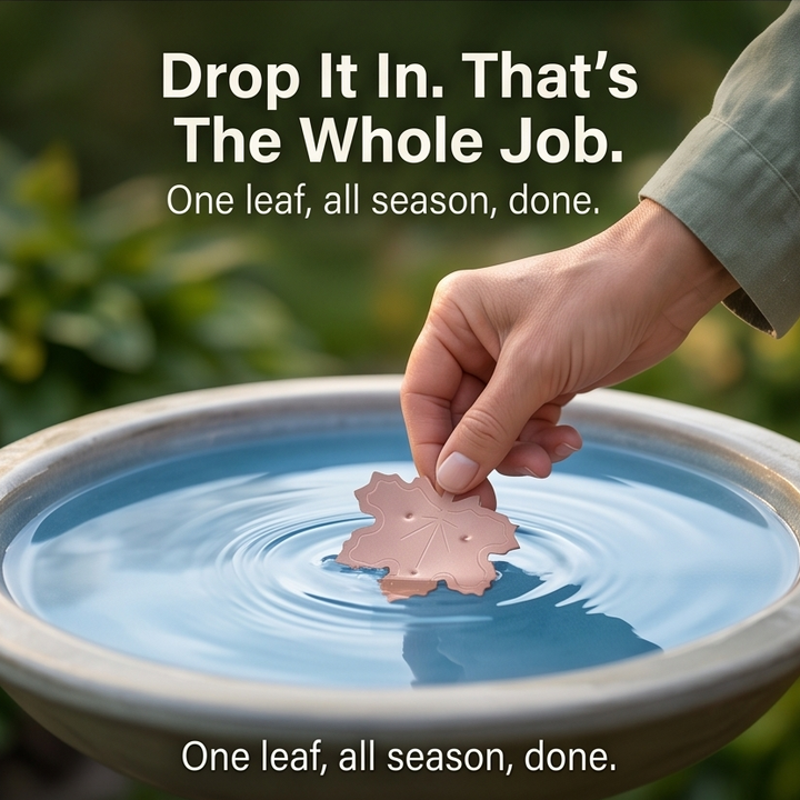 Coppera™ — Copper Leaf Bird Bath Purifier for Algae