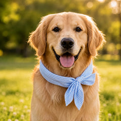 Coolpup – Reusable Cooling Bandana for Dogs, No-Freezer Summer Neck Wrap (2Pcs)
