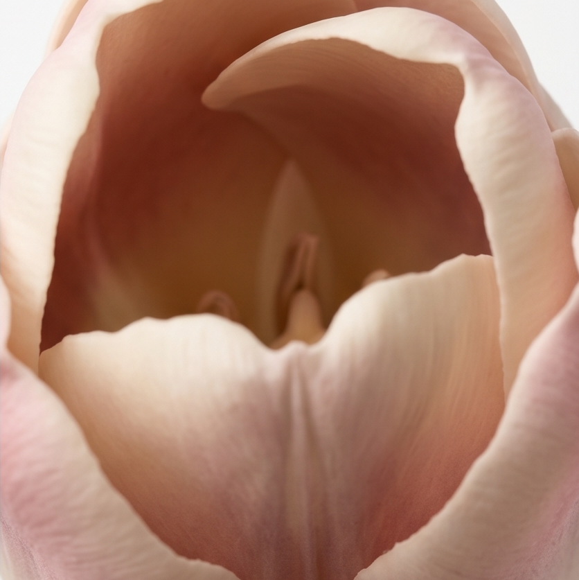 Lumora™ – Real Touch Tulip Bouquet