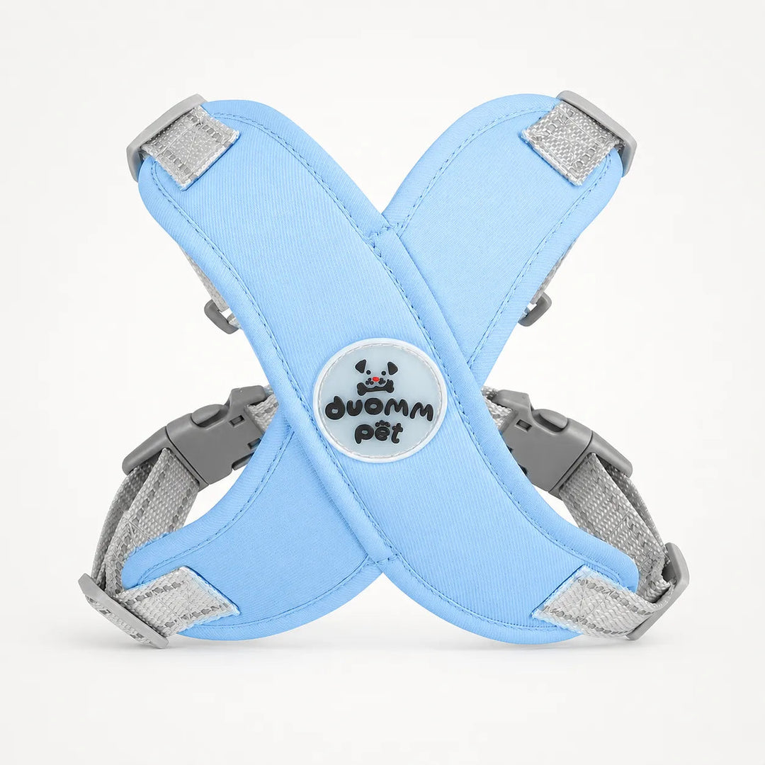 Pawlyn – X Frame No Pull Dog Harness and Leash Set for Small Breeds